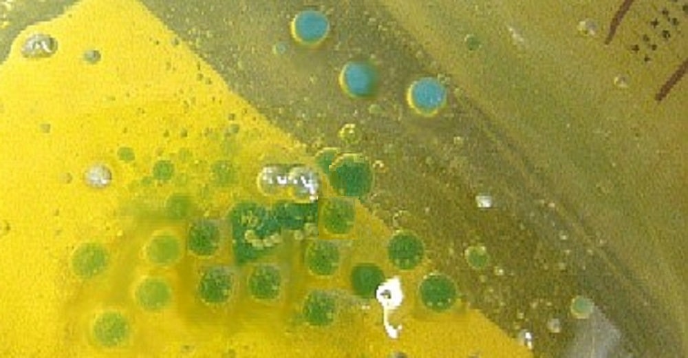 Gelatinekapseln - &copy;Inducap GmbH