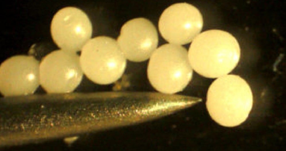 Pektinkapseln - &copy;Inducap GmbH