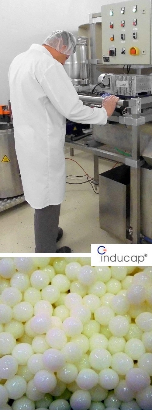 Prinzip der <b>Inducap&reg;-Matrix</b> Technologie