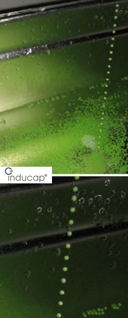 Prinzip der <b>Inducap&reg;-Matrix</b> Technologie